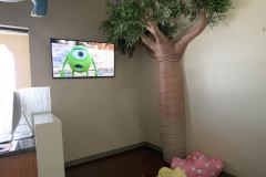 2015-06-27-02-09-06-tvs